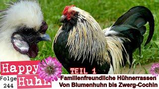 Familienfreundliche Hühner Teil 1 Von Blumenhuhn bis Cochin! HAPPY HUHN E244 Hühner im Garten halten