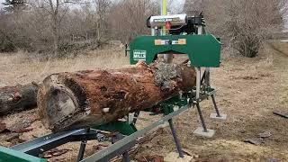 Woodland Mills HM122: Max Diameter Logs with insect damage.