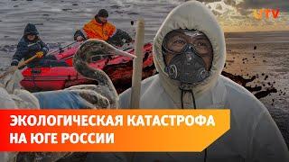 Разлив нефти в Черном море. Как волонтеры спасают птиц и очищают берег