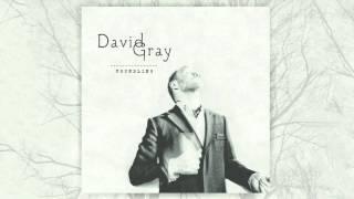 David Gray - A New Day At Midnight (Official Audio)