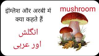 Mushroom ko Arabi mein kya kahate, mushroom ko Englis mein kya kahate Hain #arbic