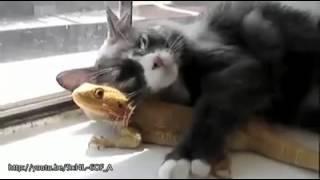 This is how you love one another