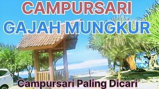 CAMPURSARI KOPLO JAWA GAJAH MUNGKUR - CEWEK GAUL - POP JAWA CAMPURSARI GLERRR PALING DICARI