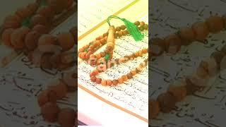 Saitah kamilah tilawth hadiah biswath Abdurehman masait v Ahmed kizer arahi qalbik tilawth 1#newyear