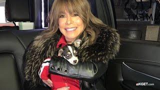 Paula Abdul adopts special needs puppy from Pet Matchmaker Rescue