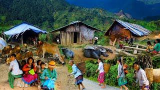 TRAVELS HMONG VILLAGES NORTH VIETNAM #98, 6/2020