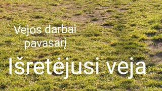 Išretėjusi veja/pavasario darbai/Negerai sudygusi veja/žolė