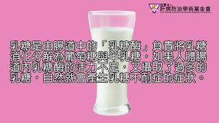 香濃鮮奶惹腹瀉 乳糖不耐症能改善嗎？