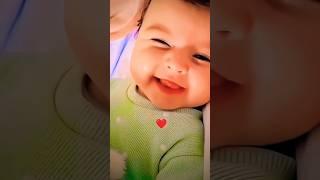 Papa ️#cute #smile #sweet #baby #funny #babygirl #catvideos #trending #shortsfeed #cats Dec.11.2024