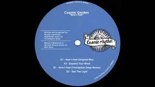 Cosmic Garden - Now I Feel (Trinidadian Deep Remix)