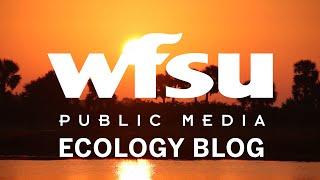 Welcome to the WFSU Ecology Blog