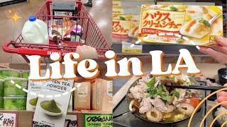 Life in LA: grocery shopping, Boiling Point hotpot, dried dates & longan