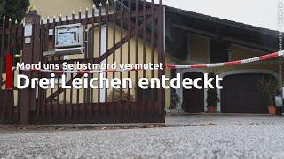 Drei Leichen in einem Wohnhaus in Perg entdeckt