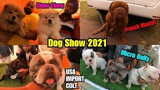 Dog Show Nawanshahar Punjab 2021