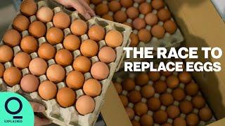 Inside the Plant-Based Egg Industry