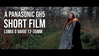 CINEMATIC FOOTAGE | Panasonic GH5 | LUMIX 12-35mm f2.8 MFT