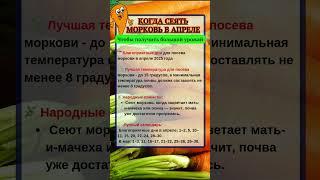 КОГДА СЕЯТЬ МОРКОВЬ в апреле, ЧТОБЫ ПОЛУЧИТЬ БОЛЬШОЙ УРОЖАЙ #огород #дача #сад #овощи