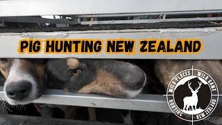 VLOG 11 - Pig Hunting in New Zealand