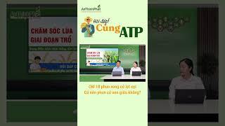 Phun Cử Lẹt Xẹt Rồi Có Nên Phun Thêm Cử Giữa Không | An Thịnh Phát