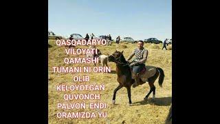 QASHQADARYO VILOYATI QAMASHI TUMANI UGLONI QUVONCH PALVON ENDI ORAMIZDA YUQ