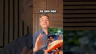 Как сделать видео с человечками