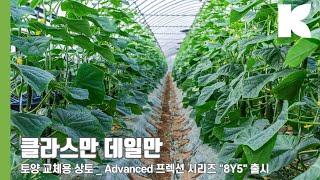 클라스만 토양 교체용 상토 _ Advanced 프렉션 시리즈 "8Y5" 출시 _ 전북 김제 오이 농가 인터뷰