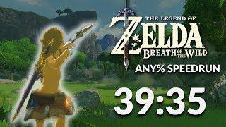 Breath of the Wild any% Speedrun in 39:35 by Orcastraw