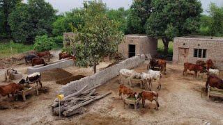 Village Life In Pakistan