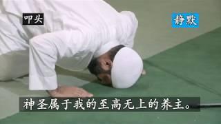 伊斯兰，穆斯林如何礼拜How Muslims pray？