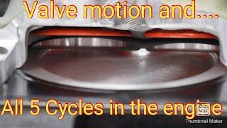 Looking at valve motion and the 5 cycles.