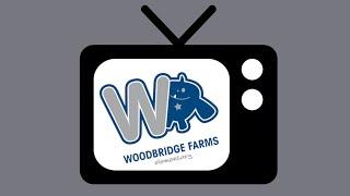 WBFTV - S03E12 - November 29, 2021