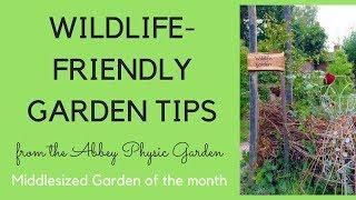 Wildlife-friendly garden tips from the Abbey Physic Garden....