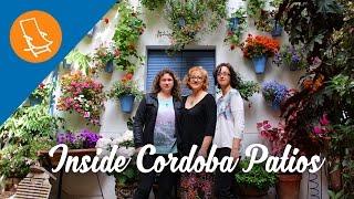 Life in the patios of Cordoba