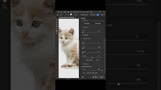 Remove Backgrounds in Photoshop #photoshop #shortvideo