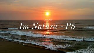 Most Beautiful Touching Music: "Im Natura" — by @ikoliks