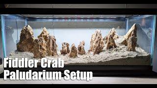 Setting Up an Experimental Brackish Water Paludarium For Fiddler Crabs and Macro Algae