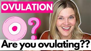 Ovulation: Are You Ovulating? What Are The Signs You Are Not Ovulating?