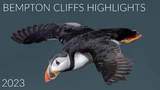 Bempton Cliffs and North Yorkshire Coast Highlights from 2023