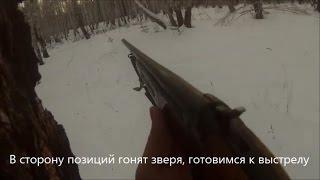 Процесс охоты для не охотников (охота на косулю сибирскую)