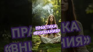 Практика внимания.