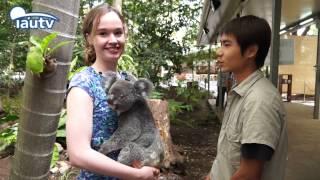 A Date with Australia-Lone Pine Koala Sanctuary