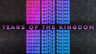 VGM #212: Shrine Battle Theme (The Legend of Zelda: Tears of the Kingdom) Ft. @RichaadEB