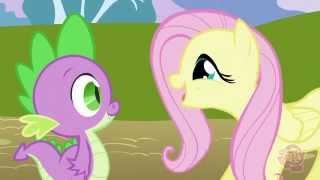 My little Pony - Soy Fluttershy... (Español Latino)