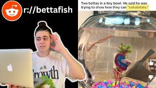 Reacting To BETTA FISH TANKS On REDDIT