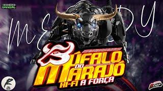 BÚFALO DO MARAJÓ HI-FI A FORÇA O RETORNO