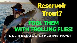 Trout Fishing Tactics: How To Catch Big Reservoir Trout On Trolling Flies #fishing #trout #trolling