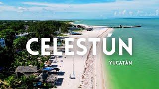 El PARAÍSO en la costa yucateca: CELESTÚN | Uri Ortega