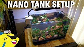 FRESHWATER NANO AQUARIUM: SETUP AND TUTORIAL