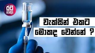 වැක්සින් එකට මොකද වෙන්නේ ? || What happened to Vaccine || Shinophram  or  Pfizer  for Student  visa