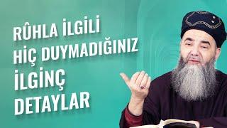 Rûhla İlgili Hiç Duymadığınız İlginç Detaylar